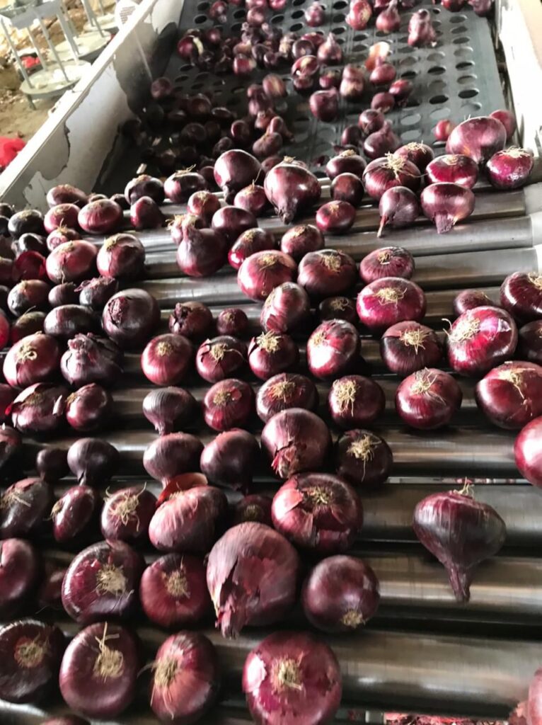 whatsapp image 2025 12 21 at 4.37.56 pm