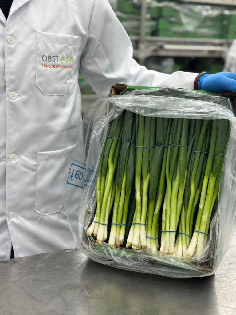 Spring Onion whatsapp image 2025 12 21 at 4.44.28 pm