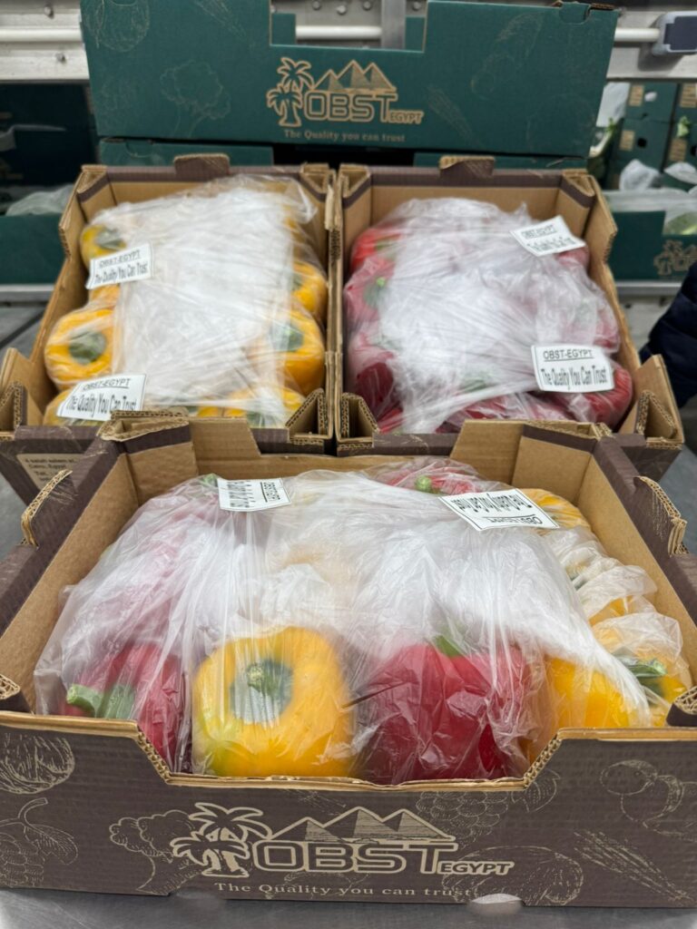 whatsapp image 2025 12 21 at 5.01.08 pm