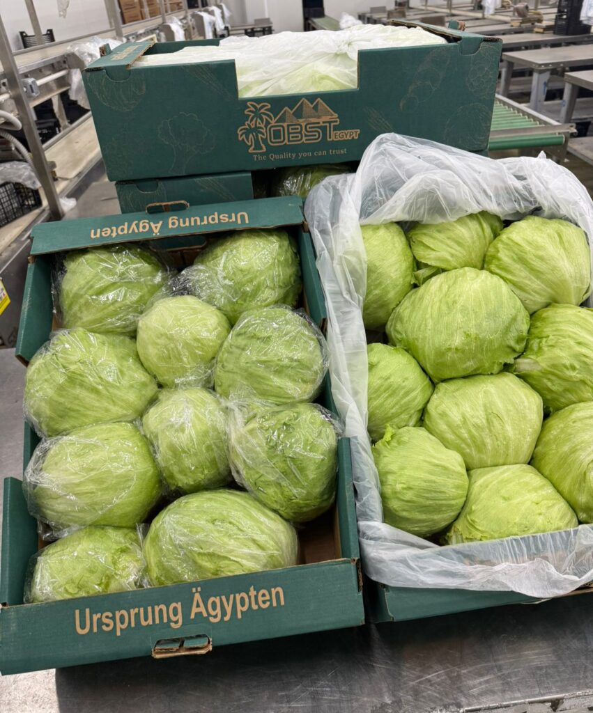 whatsapp image 2025 12 21 at 5.06.54 pm