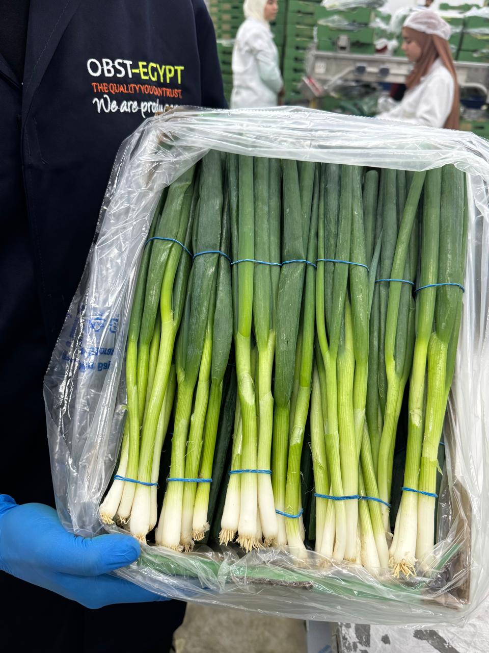 Home whatsapp image 2025 12 22 at 11.13.39 am