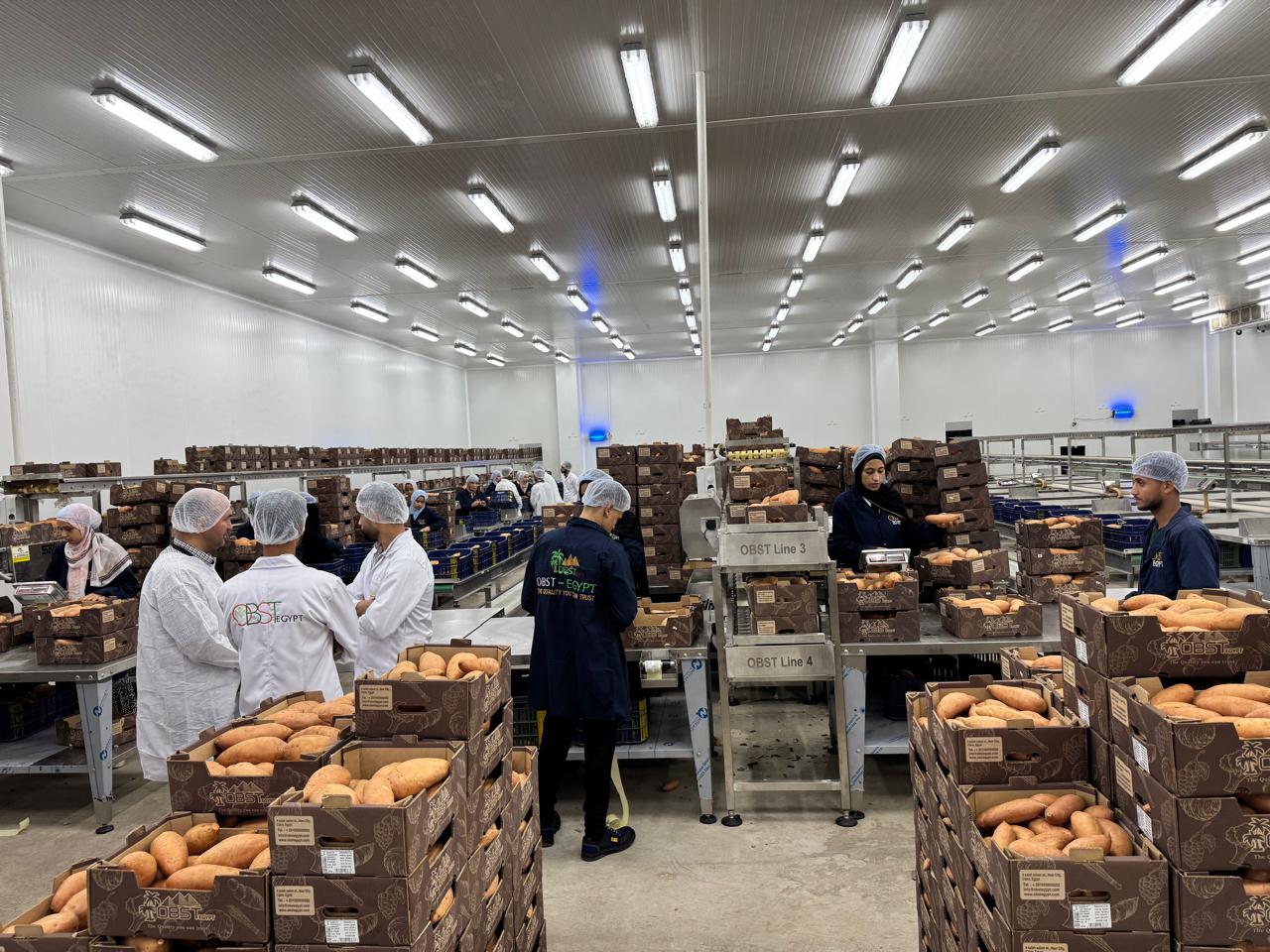 Home whatsapp image 2025 12 22 at 11.31.00 am